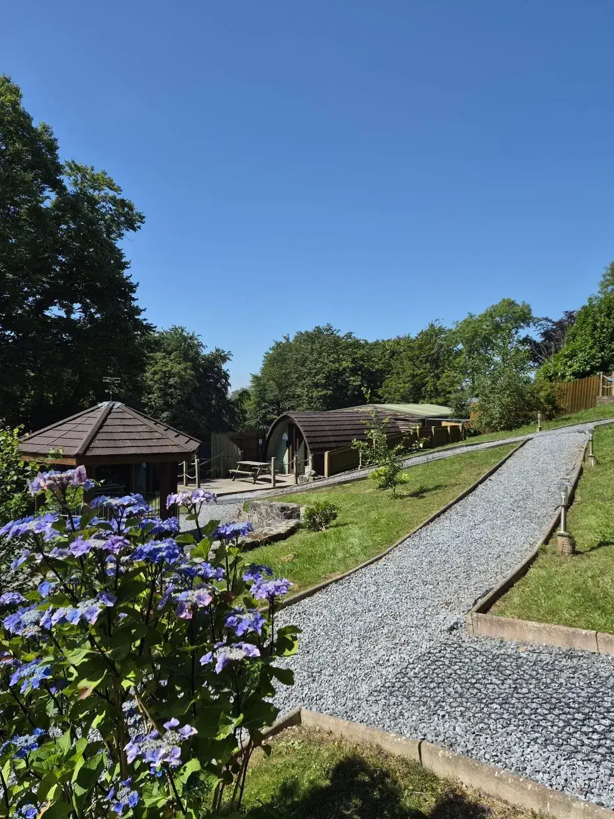 Landscaped grounds at Pods @ Broadway with hydrangeas in bloom along the gravel path
