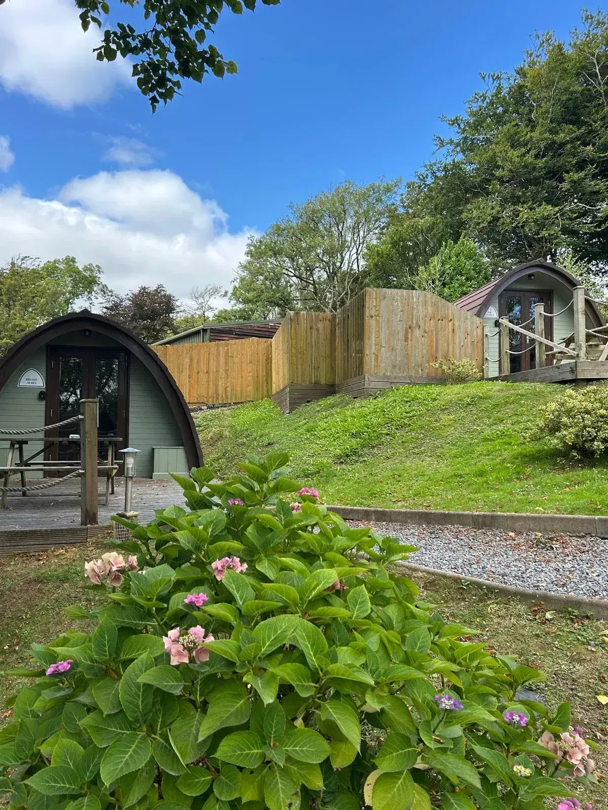 Standard Pods on the grounds, reached by a gravel path with hydrangeas in bloom