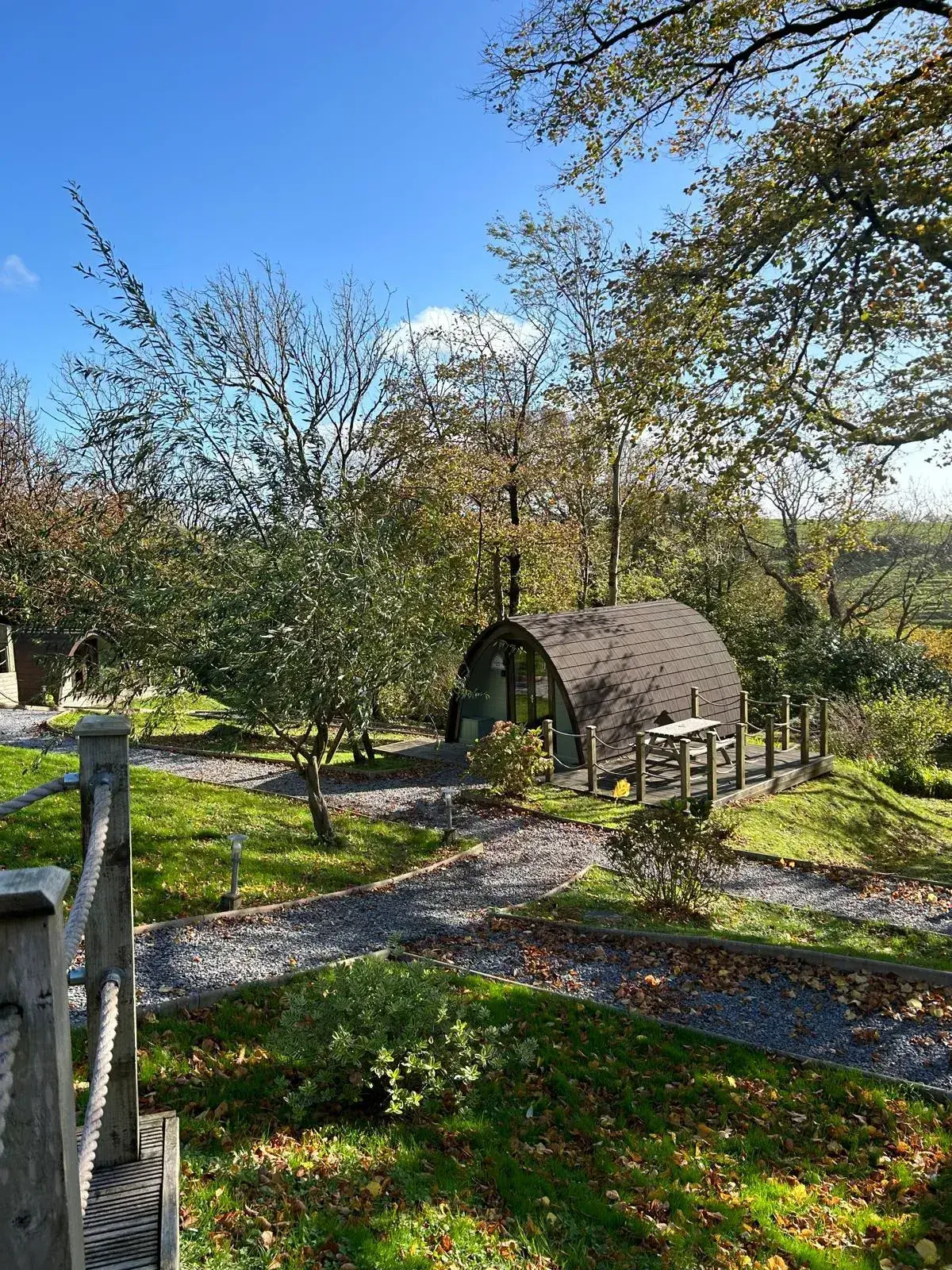 Glamping pods amongst autumn trees, with the West Wales countryside beyond